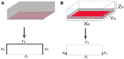 Capillary Water Absorption and Chloride Transport Into Mortar Samples: A Finite Element Analysis